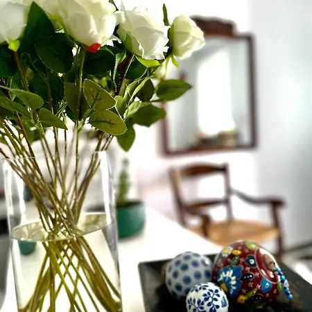 Nostos Lägenhet Páros